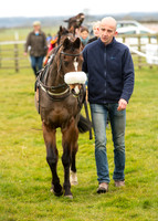 Pony Race 1 - 138cm -12