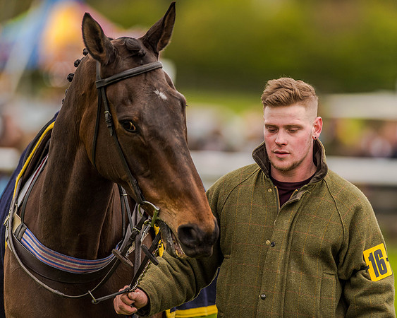 Race 2 - Open Maiden  (20 of 170).jpg