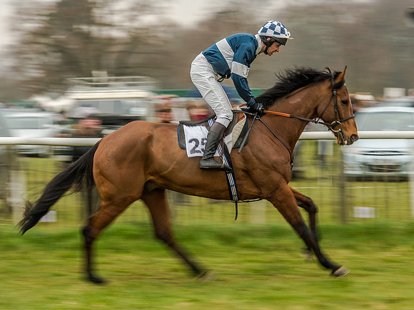 Race 5 - Open Maiden Division 2 (33 of 112).jpg