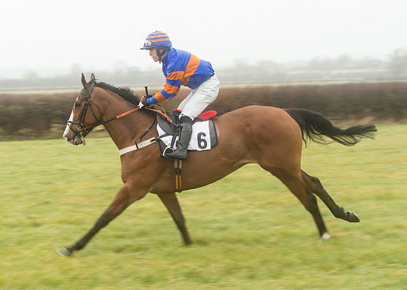 Race 1 - Confined Hunts (33 of 101).jpg