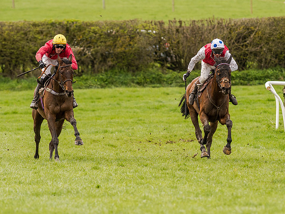 Race 1 - Confined Hunts (87 of 118).jpg