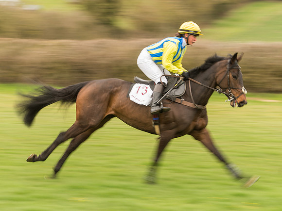Race 7 - Open Maiden Division 2  (43 of 106).jpg