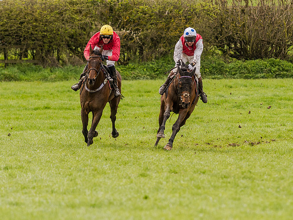 Race 1 - Confined Hunts (81 of 118).jpg