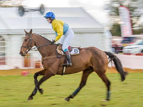 Race 6 - The Restricted Race [Nov-Vet] (32 of 84).jpg