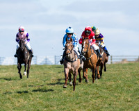 Oakley Ponies (14 of 96).jpg