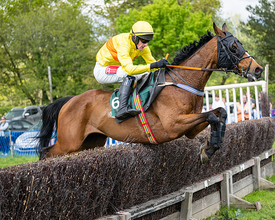 Race 5  - Maiden  (68 of 84)