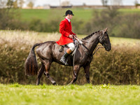 Pony Races (3 of 127).jpg