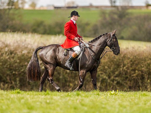 Pony Races (3 of 127).jpg