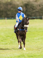 Ponies Go to post