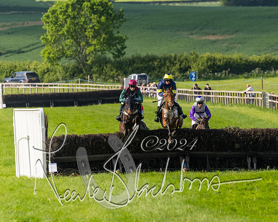 Race 6 - Owner trainer conditions (121 of 272)