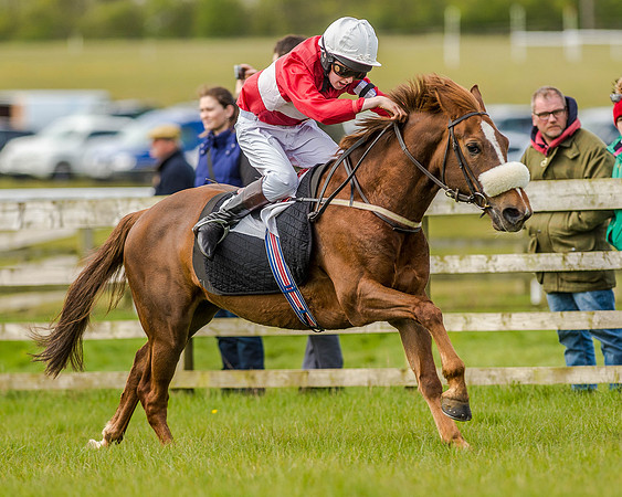 Pony Race 2 (49 of 77).jpg