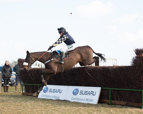 Race 1 - 4-5-6 Maiden (96 of 119).jpg