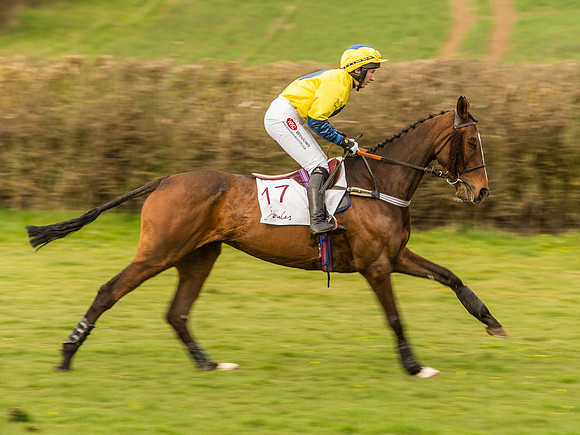 Race 6 - Open Maiden Division 1  (32 of 133).jpg