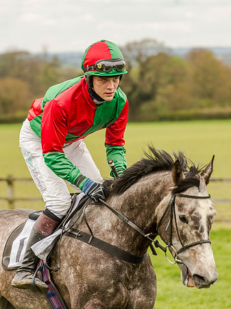 Race 3 - Young Horse maiden 2m5f (46 of 124).jpg