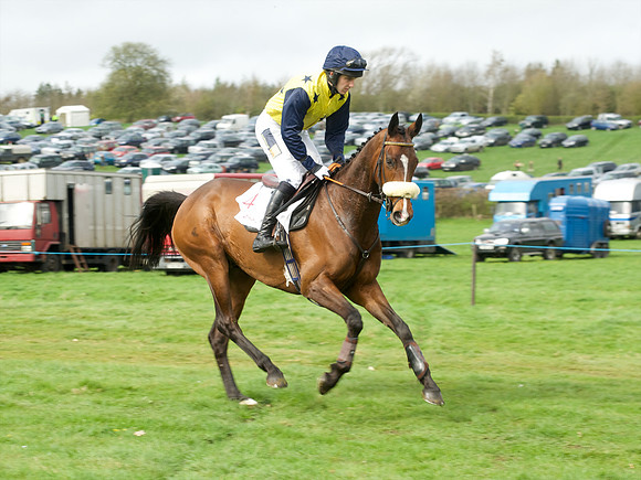 Race 5 - Restricted  6