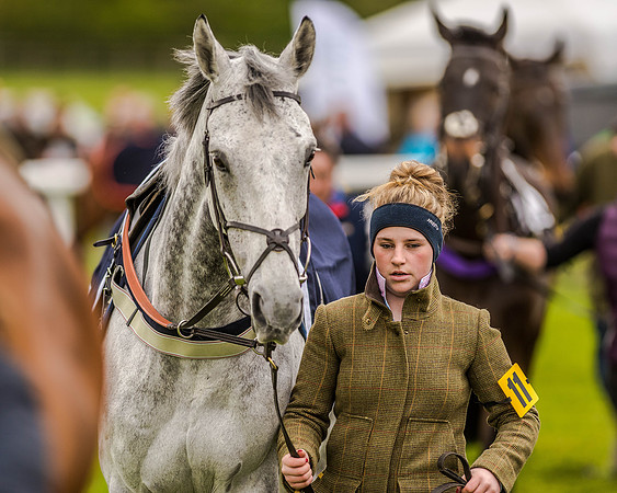 Race 2 - Open Maiden  (17 of 170).jpg