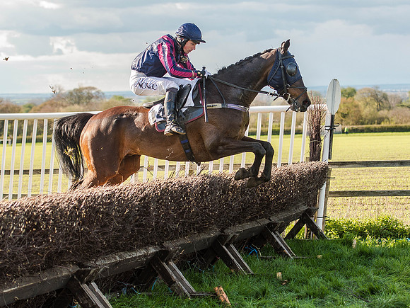 Race 6 - The Open Maiden (82 of 122).jpg