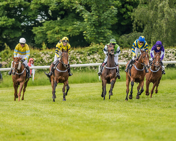 Race 1 - Hunt Members (52 of 126).jpg