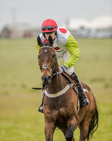 Race 2 - Open Maiden Race (4 of 80).jpg