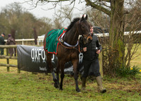 Race 1 - Confined Hunts (5 of 101).jpg