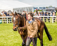 Race 4 - PPORA Novice Riders (14 of 196).jpg