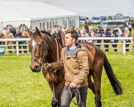 Race 4 - PPORA Novice Riders (14 of 196).jpg