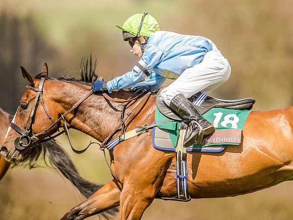 Pony Races (120 of 127).jpg