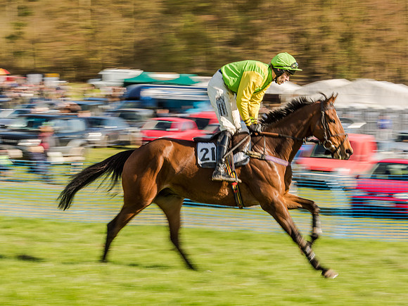 Race 6 - The Open Maiden (30 of 122).jpg