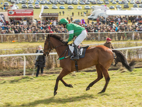 Race 2 - Confined Hunts Race (19 of 87).jpg