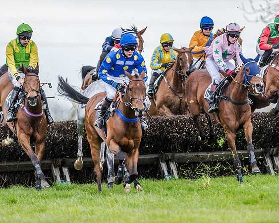 Race 2 - Open Maiden  (68 of 170).jpg