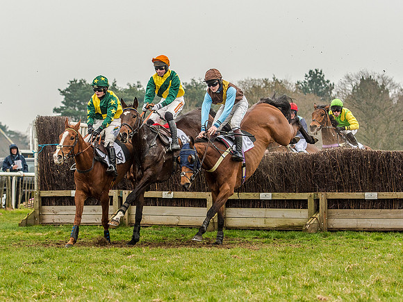 Race 5 - Open Maiden Division 2 (59 of 112).jpg