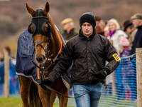 Race 4 - PPORA Novice Riders (4 of 132).jpg