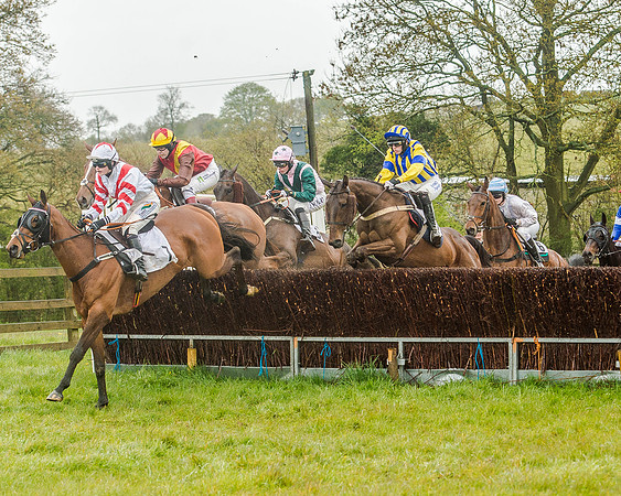 Race 5 - Restricted Race (53 of 146).jpg