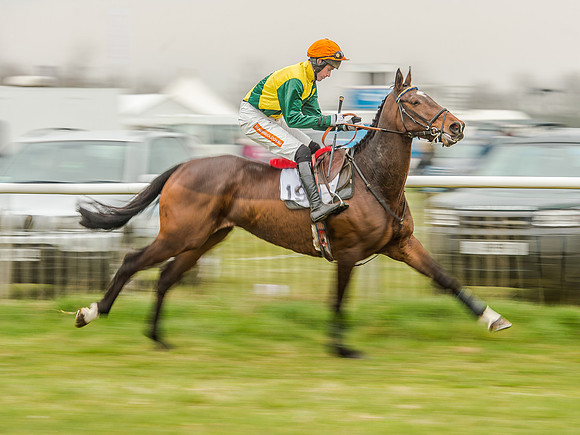 Race 5 - Open Maiden Division 2 (47 of 112).jpg