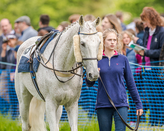 Race 2 - PPORA Members Novice Riders  (2 of 112).jpg