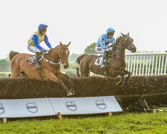 Race 7 - Div 2 - Open Maiden (93 of 163).jpg