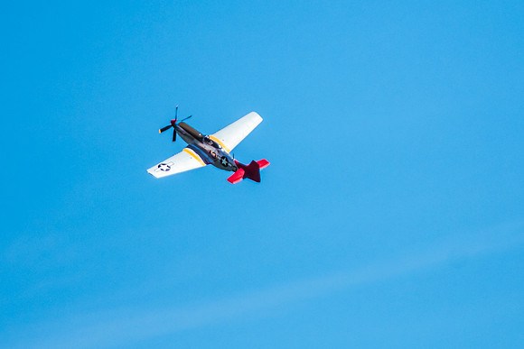 P-51 Mustang (4 of 19)