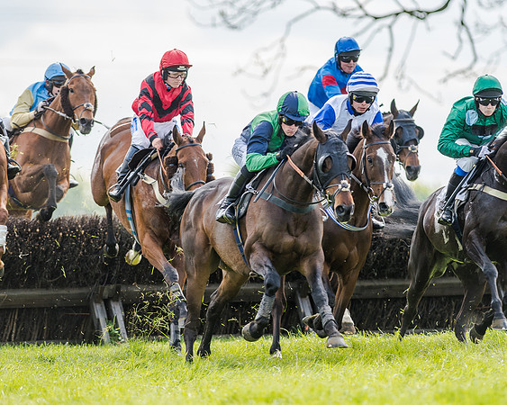 Race 4 - PPORA Novice Riders (88 of 196).jpg