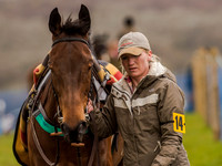Race 2 - PPORA Club Members Conditions 2m5f (13 of 137).jpg