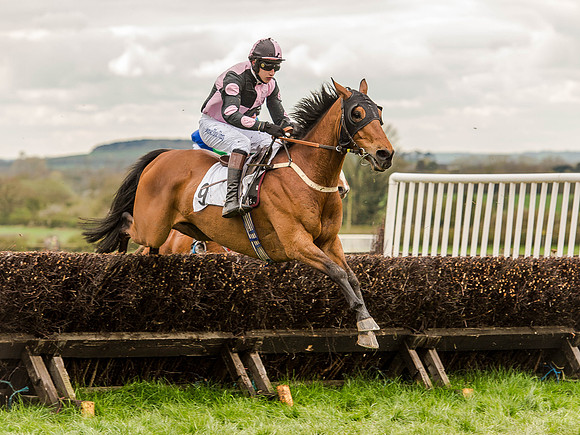 Race 2 - PPORA Club Members Conditions 2m5f (77 of 137).jpg