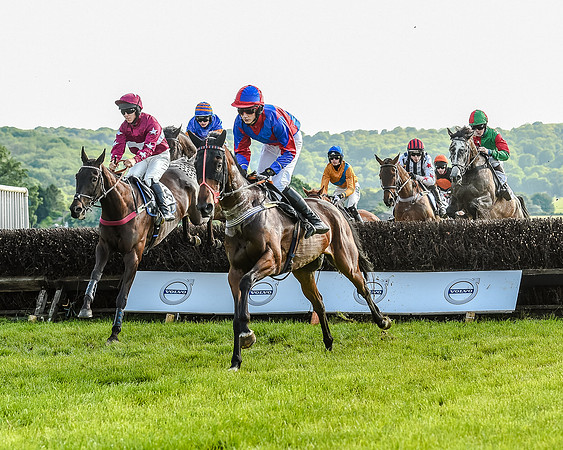 Race 7 - Div 1 - Open Maiden (36 of 94).jpg