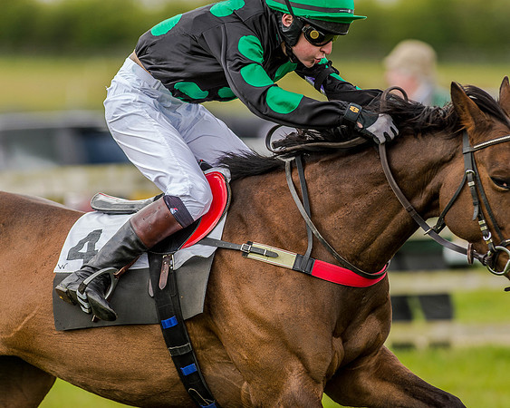 Pony Race 3 (55 of 78).jpg