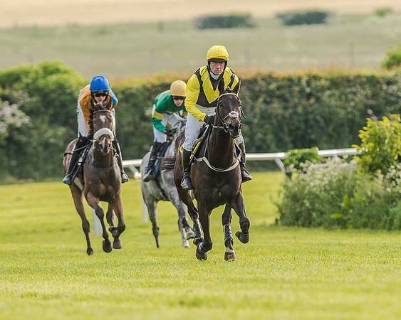 Race 7 - Div 2 - Open Maiden (76 of 163).jpg