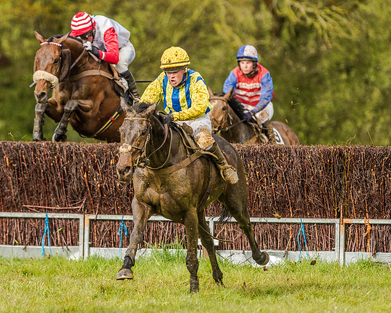 Race 5 - Open Maiden (112 of 147).jpg