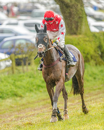 Race 5 - Open Maiden (26 of 147).jpg