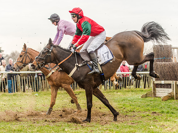 Race 5 - Open Maiden Division 1  (51 of 90).jpg