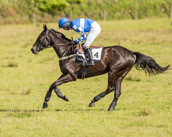 Race 6 - Open Maiden Race (20 of 71).jpg