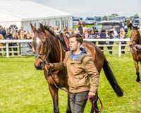 Race 4 - PPORA Novice Riders (13 of 196).jpg