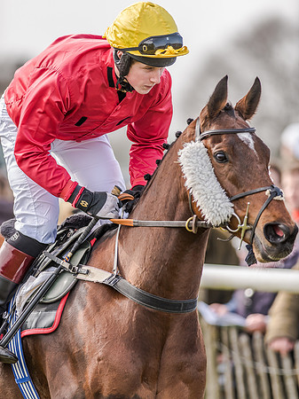 Race 4 - PPORA Club Members for Novice Riders (57 of 131).jpg