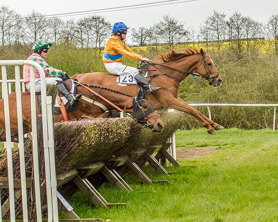 Race 2 - Open Maiden  (85 of 170).jpg